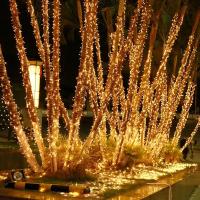 Luces De Navidad De Cadena 10m 20m Con Enchufe Guirnalda De Hadas LED Para Decoración De Hogar Árbol De Navidad Boda Fiesta - details 12