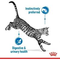Precio Especial por Caducidad 09/07/2025-12 x 85 g | Royal Canin Indoor Sterilised en Gelatina | Alimento Completo para Gatos Adultos Que Viven en casa | para Gatos esterilizados | Trozos en gelatina - details 4