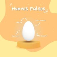 FINCA CASAREJO Pack Huevos Falsos Macizso - Huevo Tamaño Canario-Periquito - Consigue que todos los pollitos nazcan a la vez - details 2