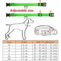 Collar LED Para Perros Y Gatos Recargable Con 3 Modos Collar De Perdida De Mascota Con Luz Nocturna Accesorios Para Mascotas Correa Básica De Nylon - details 1