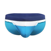 Bikini De Baño Para Hombre Sexy Briefs Estrecho Y Elástico Traje De Natación Deportivo De Playa Marca Surf Verano Push-up Swimwear - details 3