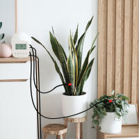 Máquina De Riego Inteligente WiFi Tuya Controlador De Sistema De Riego Por Drip Automático Para Plantas Compatible Con Alexa Y Google - details 15