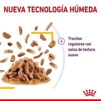 Royal Canin Sensory Taste en salsa 12X85g - details 3