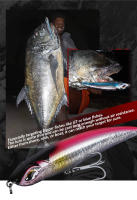Señuelo De Pesca Noeby Stickbait Sumergible Para Atún En Agua Salada Tipo Señuelo De Lápiz Tamaño 115mm 150mm 185mm Peso 60.5g 62g 126.5g - details 12