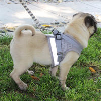 Juego De Arnes De Malla Para Perros Pequeños Y Gatos Accesorios De Entrenamiento Transpirables Para Bulldog Pug Cachorro Correa Respirable De Vínculo - details 7