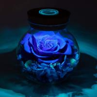 Rosas reales conservadas con coloridas botella de deseo de Luz de humor, Eternal Rose, nunca se hundiaron Flores - details 3