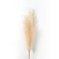 Pampas Artificial De 90/120 Cm Flores Decorativas Para Hogar Fiesta De Boda Arreglo Floral Decoración De Mesa Reed Grass Fluffy - details 7