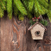 10PCS Piñas De Pino Artificiales Para Decoración Navideña Y Año Nuevo Arbol De Navidad Artificial Decoraciones Para El Hogar Y Scrapbooking - details 5