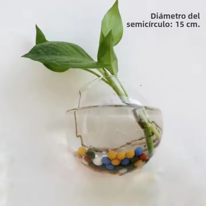 Vaso De Flor De Vidrio Colgante Para Pared Terrario Acuario Contenedor De Flores Y Plantas Decoración Para El Hogar Y Jardín Estilo Moderno - 1