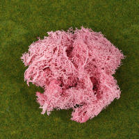 1Pc Moss Artificial De Colores Naturales Para Decoración De Joyería Jardín Y Epoxy Resina Decorativa Para Mesa - details 20
