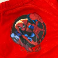 Spiderman Pack 3 Slips Niño - 100% Algodón - Tallas 2/3, 4/5, 6/8 - Colores Marino, Rojo, Azul - details 5