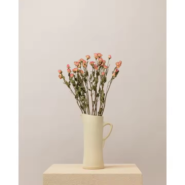 Rosas secas pitimini rosa natural Premium - 1
