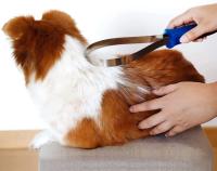 Peine Para Perros Y Gatos Herramienta De Peluquería Para Mascotas Con Corte Desmontable Aparato De Cortadora Detachable Para Eliminación De Pelo En Escala Grande - details 3