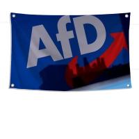 Bandera De Poliéster Para Exterior Con Cuatro Agujeros Estilo Aesthetic Decorativa Para Habitación Y Decoración De Espacios - details 7