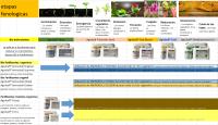 Fertilizante Líquido Orgánico Concentrado 1 Litro - Plantas Interior y Exterior - Alimento Nutritivo para Plantas - Potenciador del Suelo para Jardín, Flores, Verduras, Suculentas - Hormonas y Moleculas Naturales - Agrobull Booster-Seed - details 0