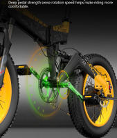 Bicicleta Eléctrica Bezior xf200 20 ''* 4,0'' 48 V15ah 130 km kilometrije freno hidráulico - details 14