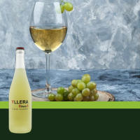 Marca Vino Blanco Frizzante YLLERA 5.5, Botella 0.75L, Maridajes y Aperitivos Versátiles, Eventos y Celebraciones - details 0