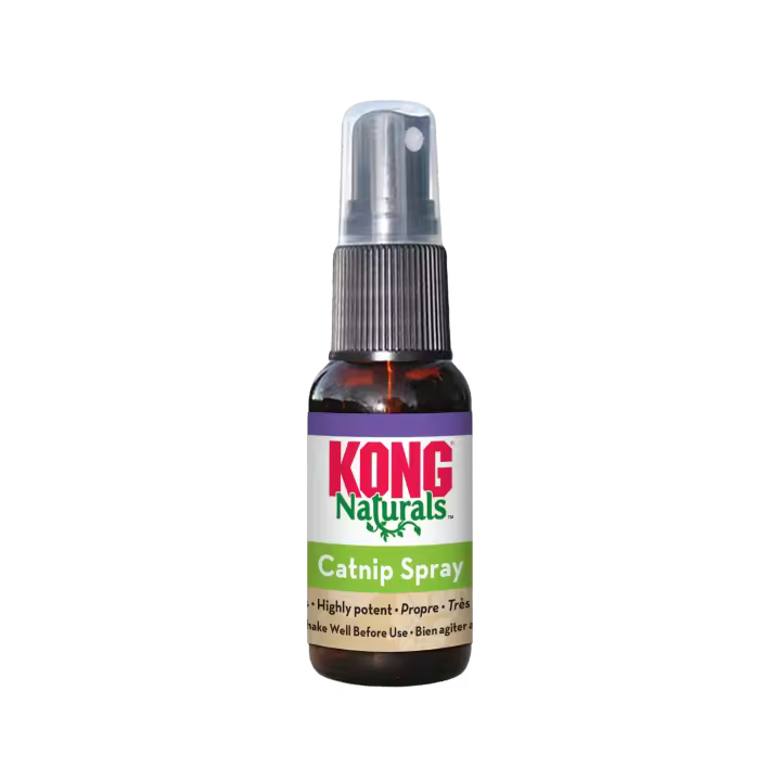 KONG - Naturals Catnip 30 ml - Aceite Esencial de hierba Gatera Natural Catnip Spray para Gatos - 1