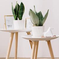 Maceta Creativa Para Suculentas Y Plantas Verdes Decoración Para Balcones Y Jardines Resina Estilo Clásico Para Interiores - details 5