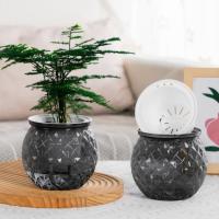 Maceta Mini Self Watering Transparente Para Plantas Y Acuarios Con Desechadero Plástico Moderno Para Decoración Del Hogar - details 2
