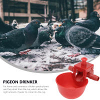 15 PCS Fuente De Agua Para Ponedero Pato Gallo Pollo Pigeon Bebedor De Agua Para Aves De Corral Cucharas De Agua Rojas - details 7