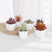 1SET(6PCS) Succulentas Simulación Pequeñas En Macetas Para Decoración De Hogar Balcón Baño Estantería Jardín Mini Realistas 22449ZH6 - details 6