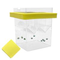 Caja De Cría De Peces Flotante Incubador De Acuario Con Ventosas Para Guppys Y Bettas Caja De Aislamiento Para Amantes De Los Peces Material Plástico - details 0