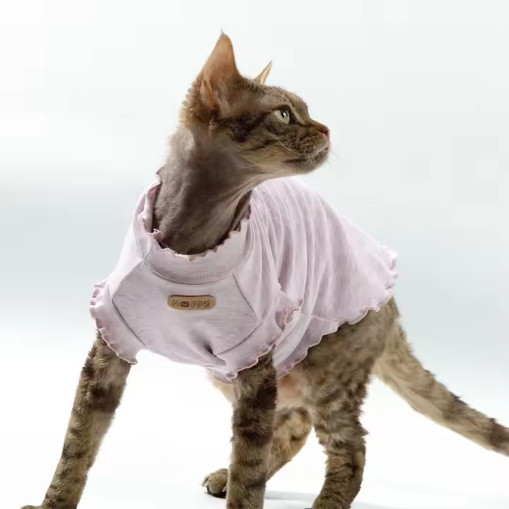 Camiseta De Verano Primavera Para Gato Sphynx Suave Transpirable Color Sólido Alta Elasticidad Amigable Con La Piel Ropa De Mascota Devon - 1
