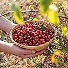 Naturbite Vitamina C1000mg con Rosa Mosqueta 20mg, 60 Tabl. - Refuerza el Sistema Inmunológico y Combate el Estrés Oxidativo - details 2