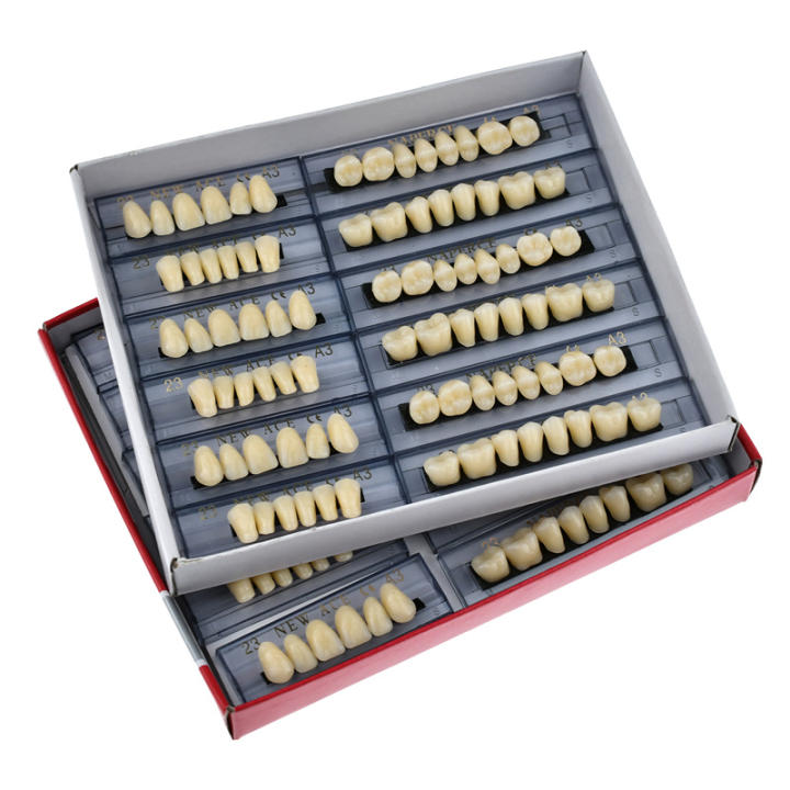 168pcs/box Resina Dental Para Modelos De Prótesis Dentales Herramientas De Laboratorio Para Dentistas Y Falsas Dientes