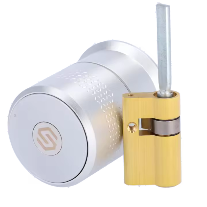 Cerradura inteligente Bluetooth - Cilindro ajustable motorizado europeo - Usuarios invitados sin estar próximo - Viviendas vací­as, familiares y alquiler - Potente motor para puertas blindadas - App Cloud Smart Lock | Llaves fí­sicas - 1