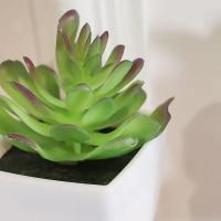 3PCS Bonsái Artificial Para Decoración De Interiores En Hogar Restaurante Y Oficina Planta De Mesa Y Ventana Material Plástico Estilo Bonsái - details 11