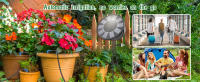 Kit De Riego Por Goteo Automático Solar Para Jardín Interior Y Exterior Con 9 Modos De Programación Sistema De Riego Para Plantas - details 5