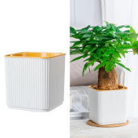 Vaso De Plástico Para Plantas Verdes En Sistemas De Riego Automático Moderno Para El Hogar Regalo Para Amantes Del Jardín Y Flores - details 4