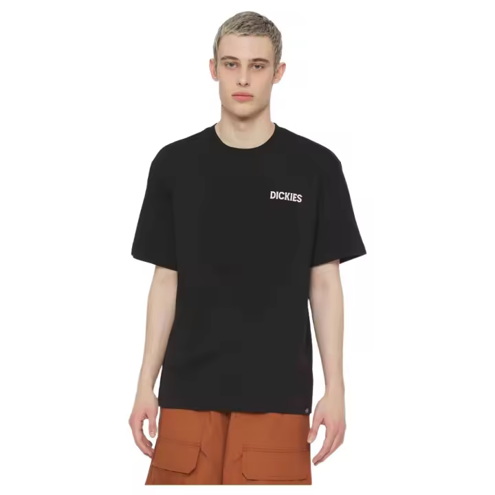 Camiseta de Manga Corta Dickies Beach para hombre en color negro - 1