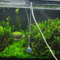 Regulador De CO2 Para Acuario Con Difusor Y Atomizador Bomba De Aire Tubo U De Acero Inoxidable Conector Curvado - details 1