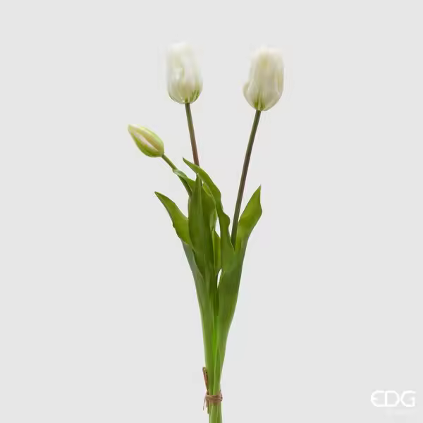 EDG Enzo De Gasperi Goma Tulip Olis 3 ramas H 48 Cm Blanco 1 Cf - 1