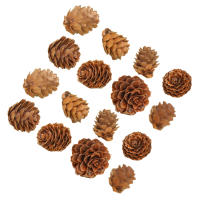 100 Pcs Conos De Pino Miniatura De Madera Para Decoración De Árbol De Navidad Y Props Fotográficos Creativos Artesanía Clásica - details 2