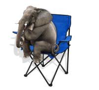 SET 2 Sillas Plegables para Camping, Pesca y Playa - Acampada Exterior con Reposabrazos, Portavasos y Bolsa Lateral - Resistente - 50x50x80cm - details 5