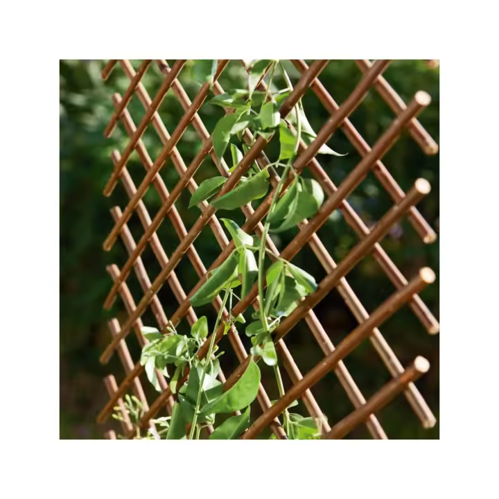 Celosía Extensible de Mimbre Suelosport para Jardín | Enrejado Natural para Plantas Trepadoras | 1 x 2 metros | Enrejado extensible de mimbre - 1