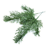 5 Piezas De Plantas Artificiales En Vaso Para Decoración De Boda Accesorios De Novia Regalos DIY Caja De Caramelo Navidad Rama De Pino Colgante Material PP - details 0