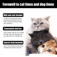 Diario DE LA Piel de Los Gatos, spray temas - details 6