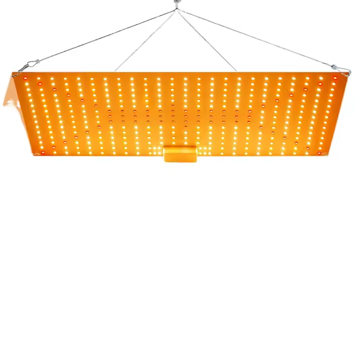 Lámpara De Crecimiento LED De Espectro Completo 300W Para Plantas Uso En Invernadero Interior Iluminación Para Frutas Suculentas Y Agricultura De Sopletes - 1