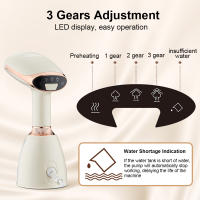 Fresadora Portátil Para Ropa Steam Iron Pequeña Limpiadora De Vapor Eléctrica Para Viajes Y Hogar Certificación CE DOT EAC EPA FCC FDA GMP RoHS TGA UL KC PSE Weee - details 3
