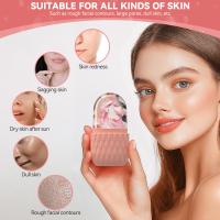 Rodillo De Hielo Para El Rostro 1/3pcs Herramienta De Cuidado De La Piel Reutilizable De Silicona Y Acero Inoxidable Gua Sha Rollo Facial Para Contorno Y Levantamiento - details 2