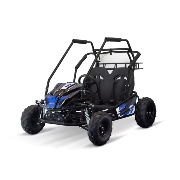 BUGGY  infantil automático Gokart 212cc Forest PRM 4 TIEMPOS - 1