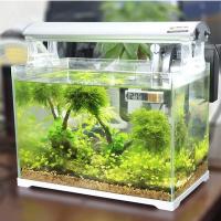 Gauge De Temperatura Electrónico Para Acuario Termómetro Digital De Cristal Líquido 3D Medidor De Agua Para Tanque De Peces Accesorios De Control De Temperatura - details 4