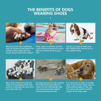Botas Para Perros Grandes Y Medianos Impermeables Y Antideslizantes Protección De Pata Para Calles Calientes Y Días Nevados - details 5