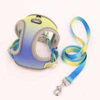 Harnés Para Perro De Tamaño Pequeño Y Medio Con Correa Ombre Set De Harnés Y Correa Para Mascotas Material Poliéster - details 2
