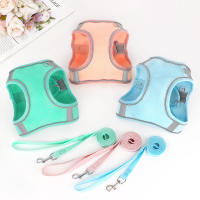 Harnés De Nylon Para Perros Y Gatos Pequeños Y Medianos Conjunto De Correa Reflector Y Harnés De Malla Para Verano Ajustable Para Chihuahua - details 8